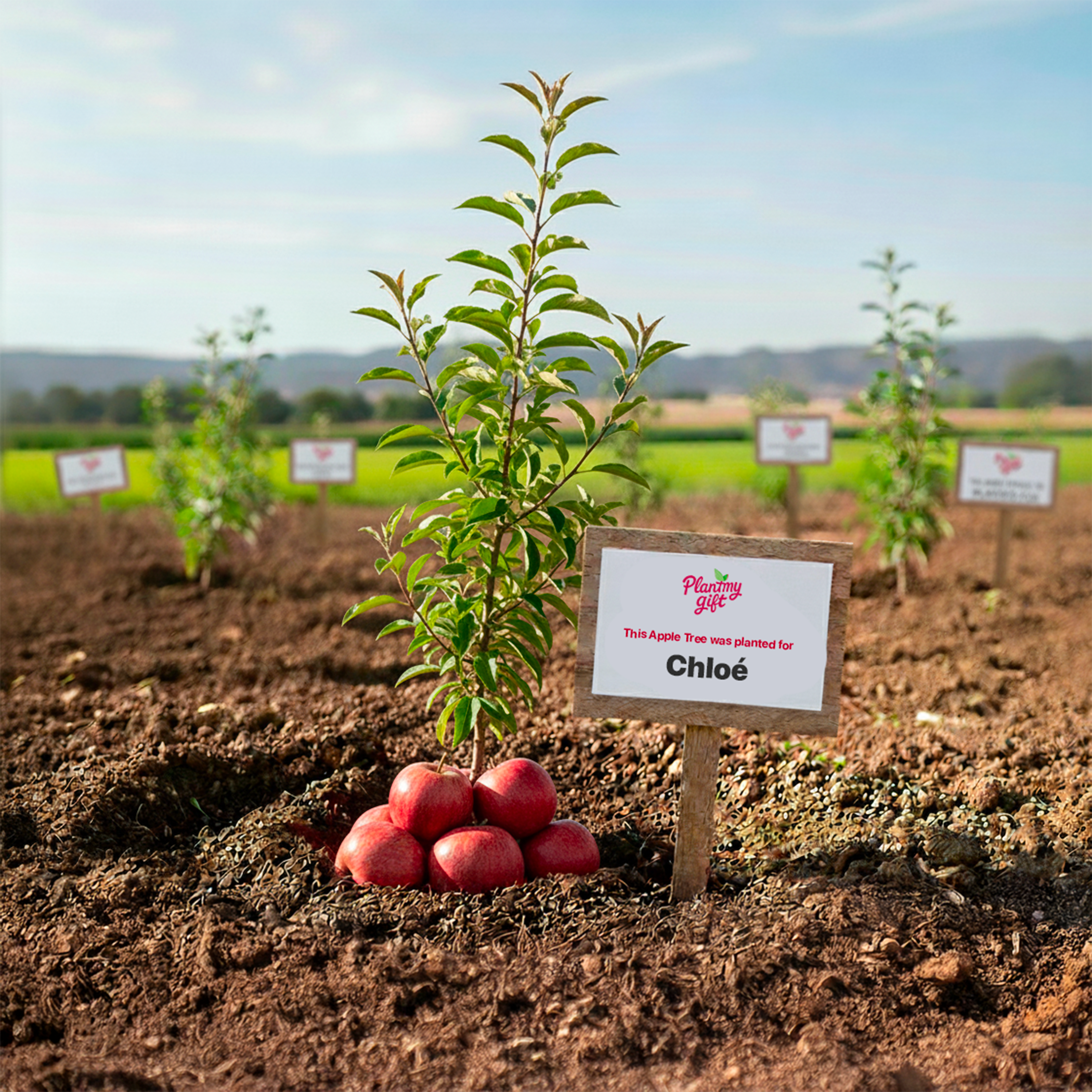 PlantMyGift®